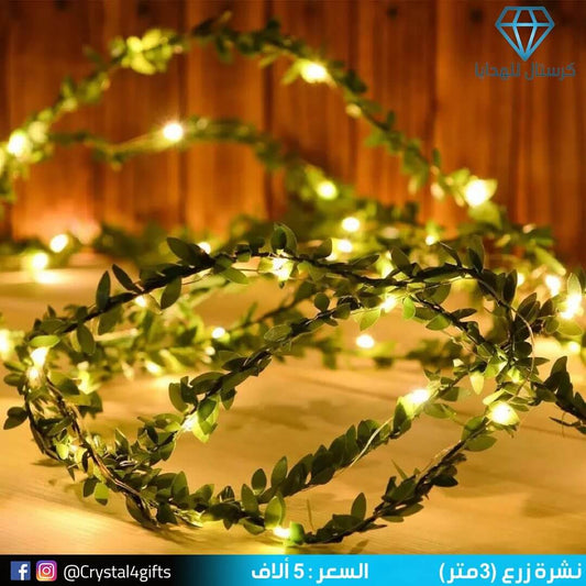 نشرة زرع (3متر)