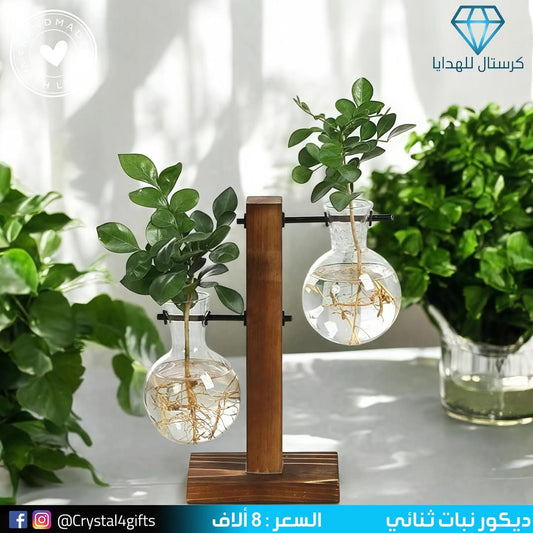 ديكور نبات ثنائي
